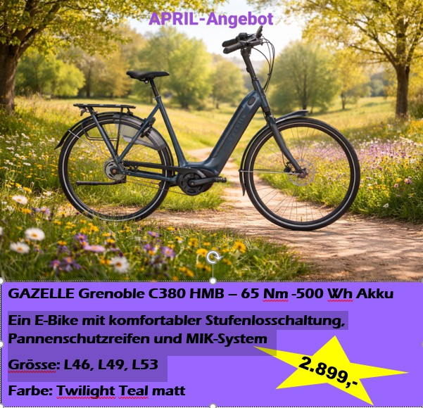 Fahrrad Walter. E-Bike, Gazelle, Fahrrad, Kelkheim, Fahrrad Händler